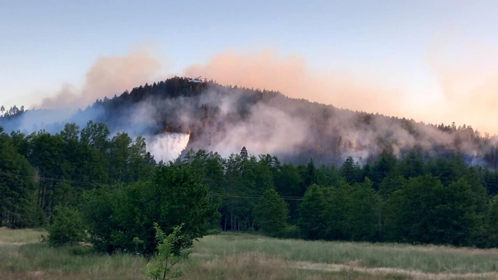 Feu de forêt à Bois-de-Champ : l’incendie toujours pas fixé, plus de 30 hectares détruits